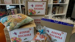 Специалисты ЦБС Яковлевского округа совместно с волонтёрами провели акцию «Добрая посылка»