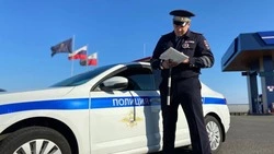 169 белгородцев погибли в ДТП с начала года 