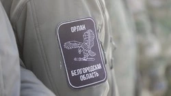Гладков сообщил о гибели 20 мирных жителей в сентябре