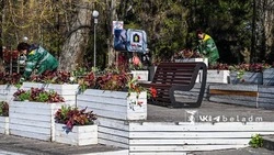 340 декоративных вазонов украсят парки и центральные улицы Белгорода