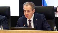 Вячеслав Гладков поручил разобраться с очередями на льготные участки для многодетных семей 