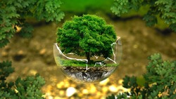 Эксперты ОНФ составили экологический рейтинг в рамках проекта «Генеральная уборка»