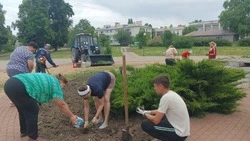 Первый масштабный субботник проведут в Белгороде 11 апреля