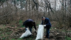Яковлевцы провели субботник по очистке территории лесного фонда в селе Серетино