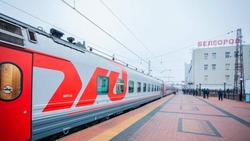 Расписание для поезда «Белгород — Воронеж» утвердили на январь