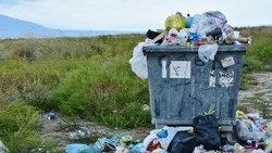 Специалисты разъяснили структуру единого тарифа по обращению с ТКО