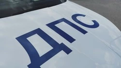 67 белгородцев привлекли к ответственности за переход дороги в неположенном месте