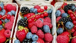 Диетолог напомнила россиянам о правилах заморозки ягод