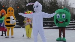 Все на каток! В Парке Роз открылся ежегодный ледовый каток под открытым небом