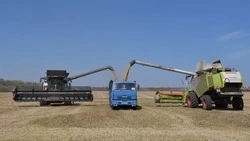Более 31,5 тысячи белгородцев получают повышенную страховую пенсию за работу в с/х