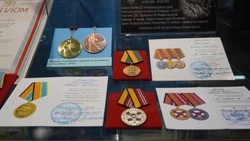 Посвящённая военным династиям выставка открылась в Белгороде 