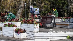 340 декоративных вазонов украсят парки и центральные улицы Белгорода