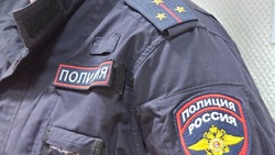 Молодёжь вынесла из супермаркета в Разумном 13 пачек масла и 25 упаковок сыра 