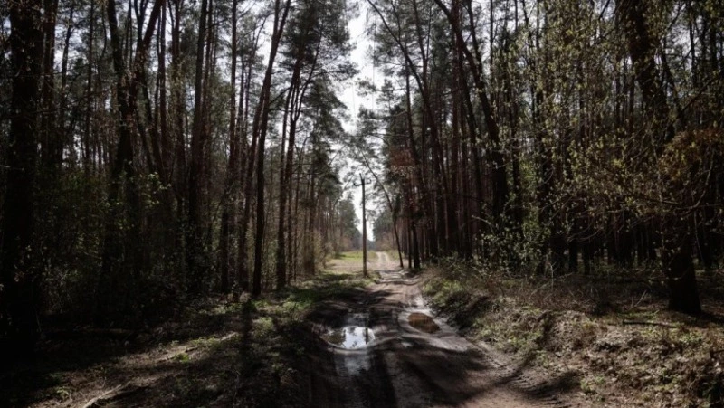 Белгородским предпринимателям выделят гранты на развитие туристической инфраструктуры