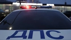 36 пешеходов оштрафовали в Белгородской области за сутки