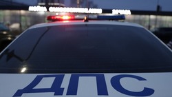 51 ДТП с участием пешеходов произошло в Белгородской области с начала года 