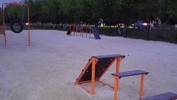 Собачий «след». Почему проблема выгула домашних питомцев так и остаётся в Строителе актуальной  