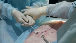 Белгородские студенты-медики стали тренироваться проводить операции на тушах свиней