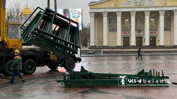 Сборка главной новогодней ели Белгорода стартовала на Соборной площади