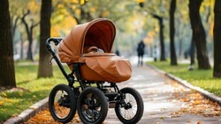Белгородские семьи получат детские пособия за декабрь досрочно