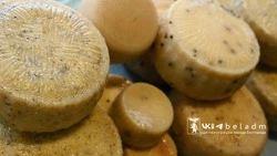 Порядка 5,7 тысяч белгородцев посетили традиционную сельхозярмарку 