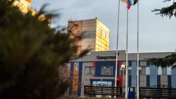 Система защиты подавила два БПЛА на территории Яковлевского ГОКа