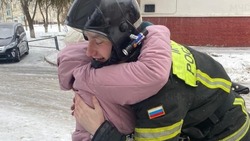 Яковлевские спасатели помогли бабуле спустить кота с крыши