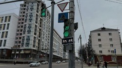 282 секции с «белым пешеходом» установили на 68 светофорных объектах в Белгороде 