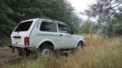 Патрулирование лесов усилили в Белгородской области на майские праздники