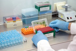  Белгородские учёные разработали инновационную тест-систему для определения антител к бактериям