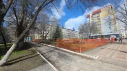 352 белгородца записались в волонтёры для голосования за объекты благоустройства