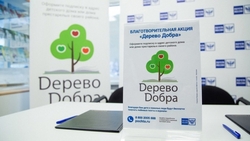 Белгородцы подарили более 1 тысячи подписок на периодику в рамках акции «Дерево добра»