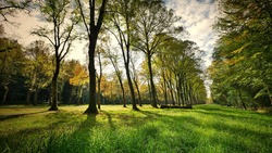 Более 4 тысяч новых деревьев и кустарников появятся на белгородских кладбищах