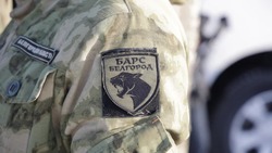 Вячеслав Гладков рассказал о разминировании приграничья отрядом «БАРС-Белгород» 