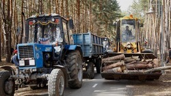 Более 60 тысяч белгородцев приняли участие в областном экологическом субботнике в минувшие выходные 