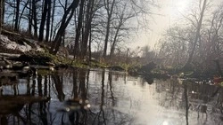 На реках Белгородской области зафиксировано снижение уровня воды