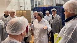 Члены Яковлевского землячества познакомились с ходом развития Томаровской территории