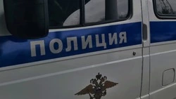 Выкопавшая куст роз из клумбы в Белгороде белгородка выплатит штраф 