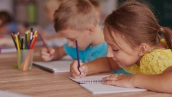 Более 6700 родителей в Белгородской области подали заявление в первый класс онлайн