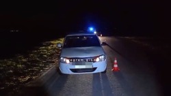 61-летний водитель сбил восьмилетнего мальчика на трассе в Яковлевском городском округе