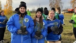 Более 245 тысяч добровольцев приняли участие в воспроизводстве белгородских лесов