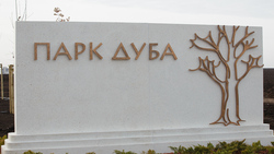 Парк дуба появился в Белгородской области