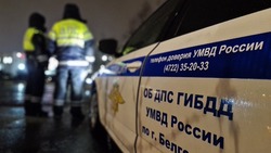 Госавтоинспекторы оштрафовали 16 белгородцев за несоблюдение правил перевозки детей