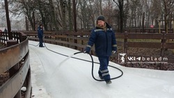 Открытые катки Белгорода вернутся к работе 3 февраля