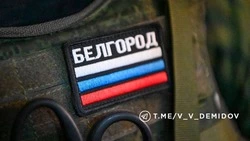 Гладков сообщил о награждении двух белгородских волонтёров федеральными наградами 