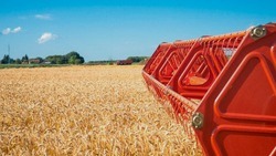 Аграрии собрали 3 млн тонн урожая зерновых и зернобобовых культур в Белгородской области