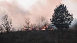 Власти РФ одобрили увеличение штрафов в десять раз для виновников пожаров