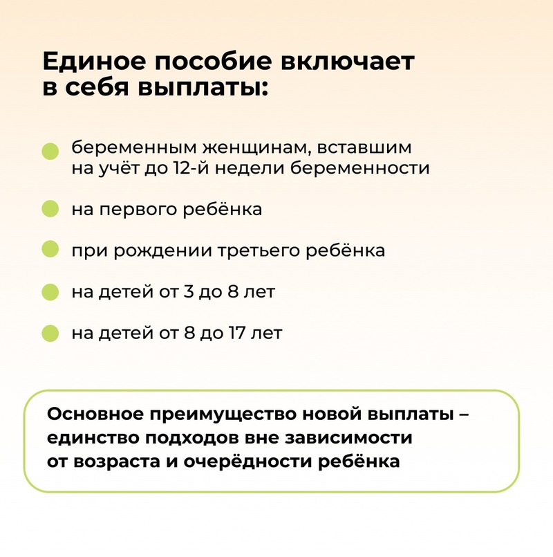 Что учитывается в доход на единое пособие