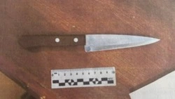 Конфликт между бывшими супругами в Яковлевском округе закончился ножевым ранением 
