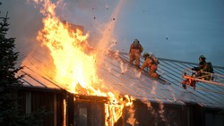 Белгородцы смогут лишиться участков за нарушение требований пожарной безопасности